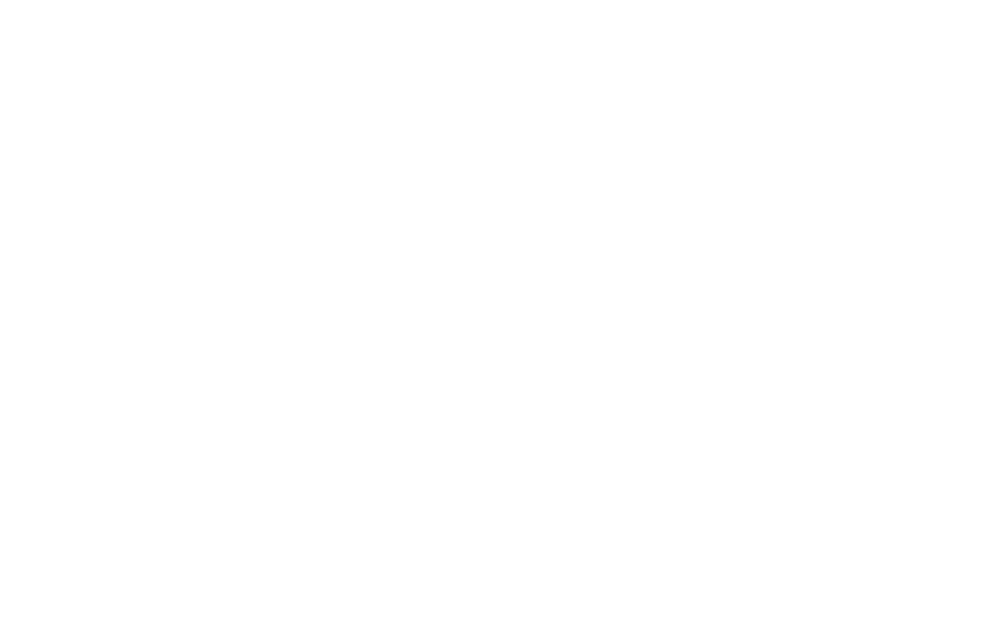 The Wedding Forever